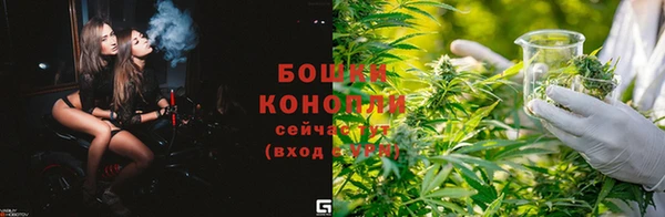 СК Аркадак