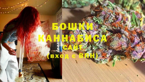 СК Аркадак